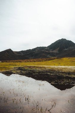 Çimenli manzarayla sakin sularda yansıyan dağ