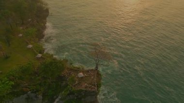 Günbatımında Tropikal bir uçurumun kenarında tek bir ağacın havadan görünüşü