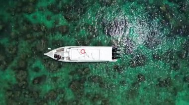 Sığ Mercan Resifi Suyu üzerindeki sürat teknesinin yukarıdan aşağı hava görüntüsü