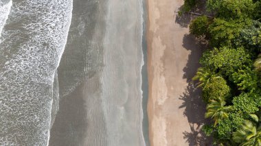 Plajın ve dalgalı tropikal plajın havadan görünüşü