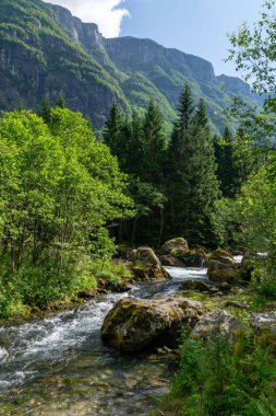 Bereketli yeşil ağaçlar ve dik dağlarla çevrili akan nehrin manzarası.