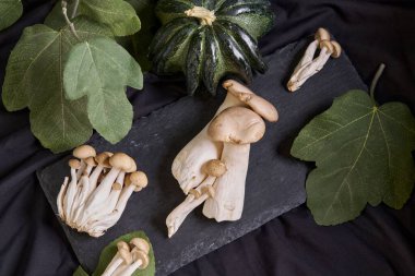 Tahtaya yeşil yapraklarla çevrili mantarlar.