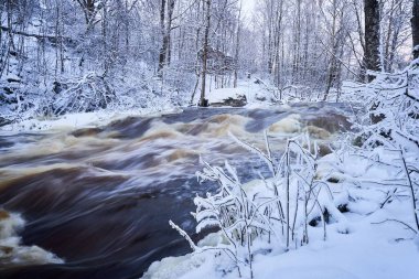 Nehir, donmuş ağaçlar ve kış manzaralı karlı orman manzarası boyunca akar.