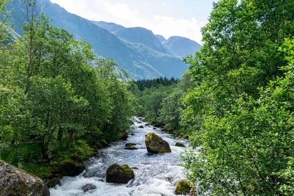 Yeşil vadiden akan nehir, arka planda yükselen dağlar..