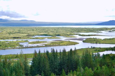 Çerçevesi yeşil ağaçlar dolambaçlı nehir sistemi sulak alanlardan uzak dağlara doğru akıyor..