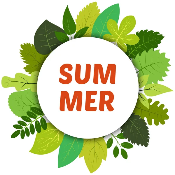 Grüne Sommerblätter Unter Weißem Runden Etikett Und Der Aufschrift Sommer — Stockvektor