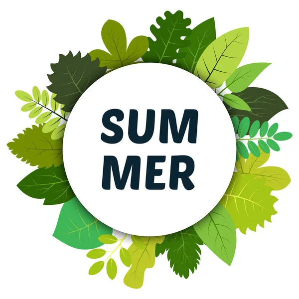 Πράσινο Καλοκαίρι Αφήνει Κάτω Από Λευκό Καλοκαίρι Στρογγυλή Ετικέτα Και — Διανυσματικό Αρχείο
