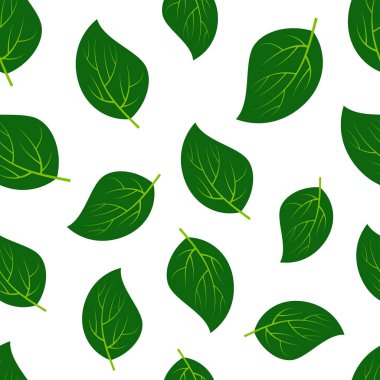 Yeşil yaz yaprakları ile Seamless modeli