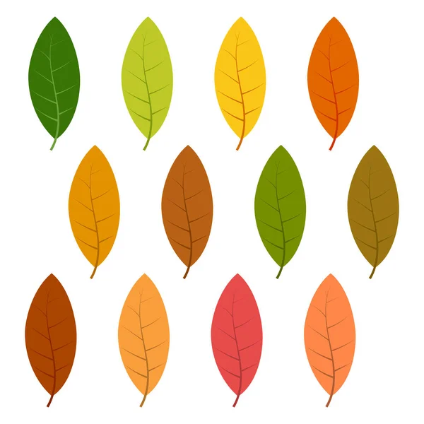 Σύνολο των δώδεκα φθινοπωρινά φύλλα — Διανυσματικό Αρχείο
