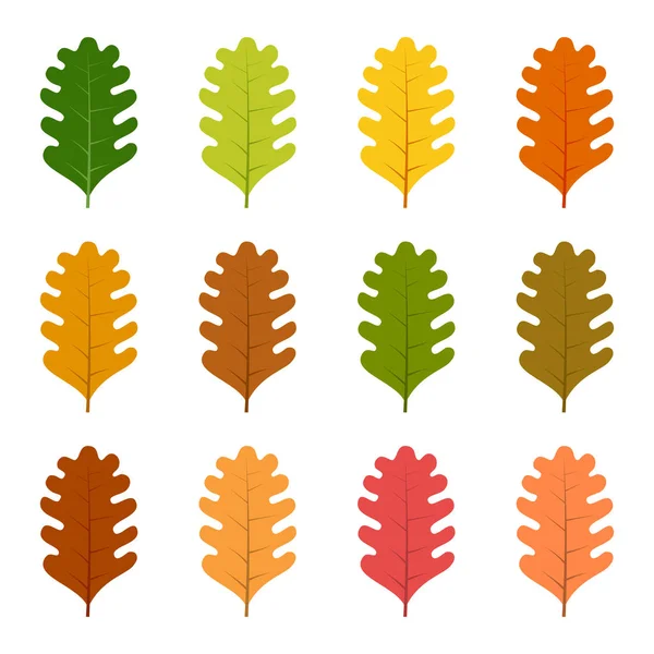 Conjunto de doze folhas de outono — Vetor de Stock