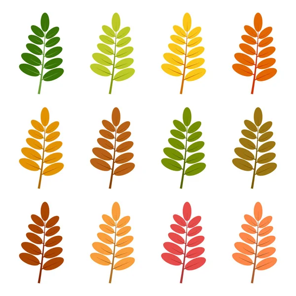 Satz von zwölf Herbstblättern — Stockvektor