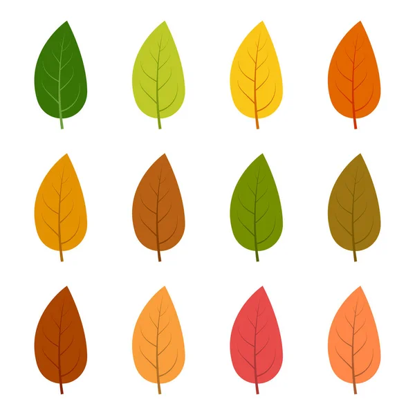 Набор из двенадцати осенних листьев — стоковый вектор
