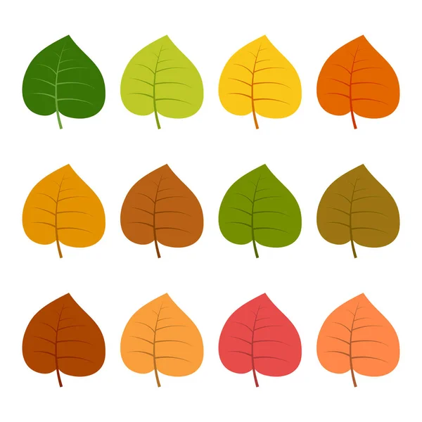 Sada dvanácti podzimní listí — Stockový vektor