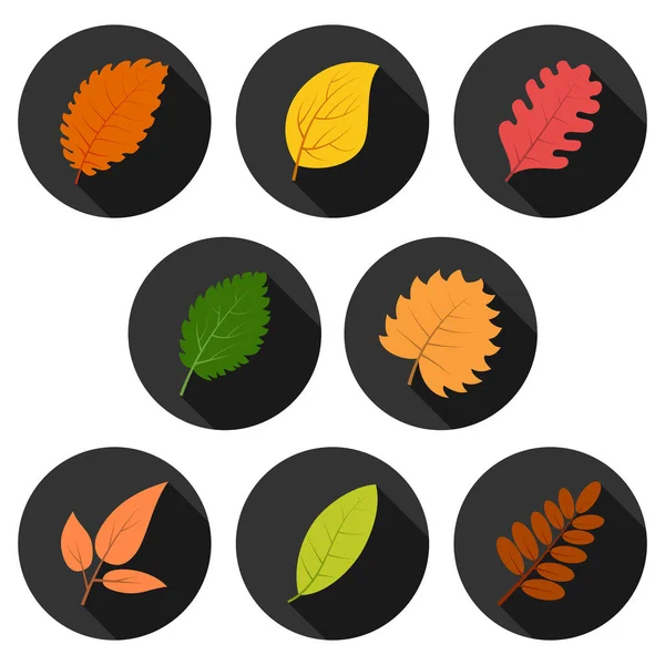 Conjunto de ocho hojas de otoño en círculos con sombras — Vector de stock