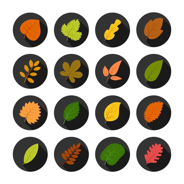 Набор из шестнадцати осенних листьев по кругу — стоковый вектор