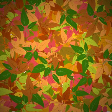 Sonbahar yapraklı arkaplan