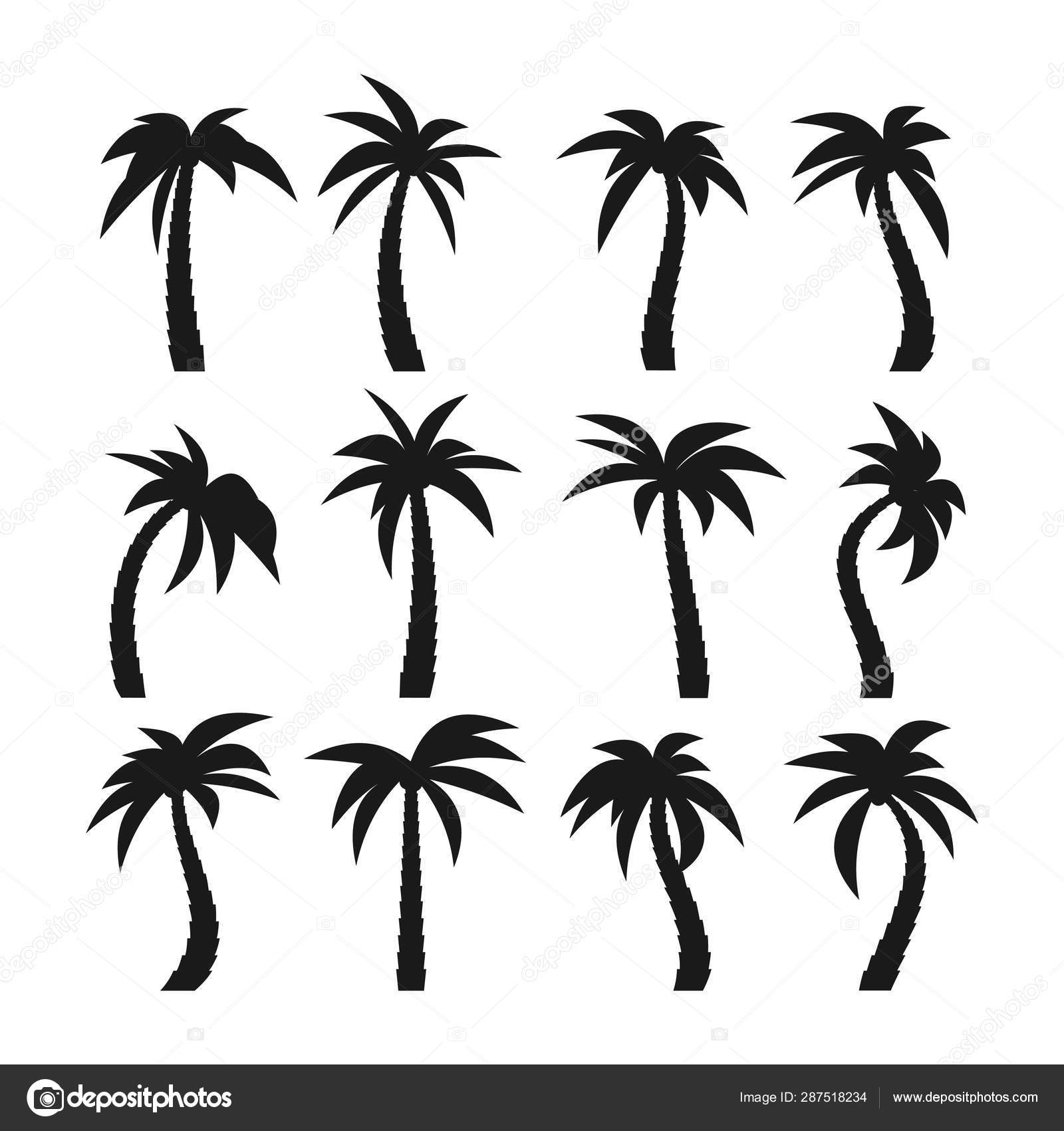 Set of sixteen different silhouettes of palm trees Stock Vector Image by ©DniproDD #287518234 Set of sixteen different silhouettes of palm trees Stock Vector Image by ©DniproDD #287518234