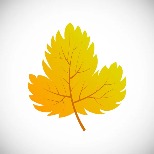 Hoja de otoño sobre un fondo blanco — Vector de stock