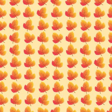 sonbahar sorunsuz geçmiş akçaağaç yaprakları ile