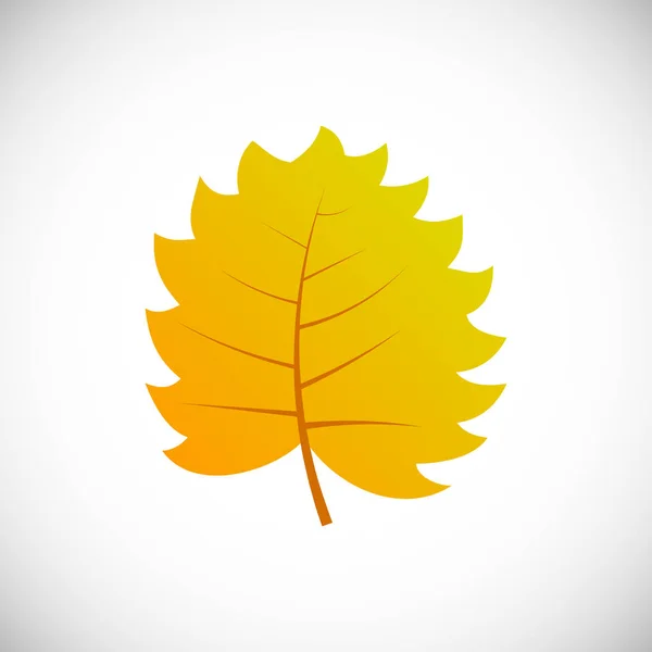 Hoja de otoño sobre un fondo blanco — Vector de stock