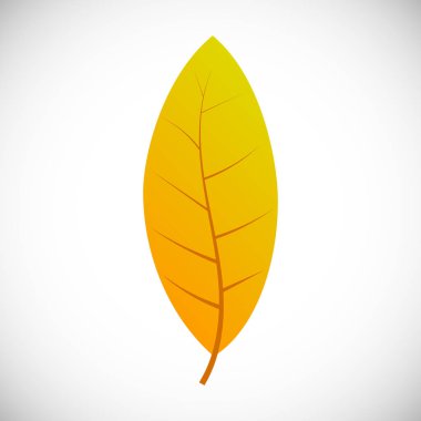 Beyaz arkaplanda sonbahar yaprağı