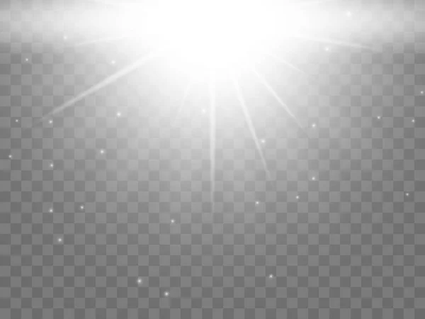 Sunlight on a transparent background — Stock Vector