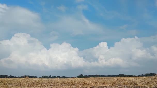 Landschaft, blauer Himmel, Zeitraffer — Stockvideo