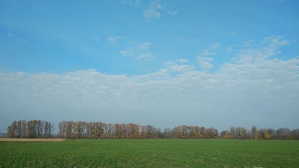 4 k tid förfaller. Höstträd på bakgrunden av en otäck moln och ett grönt fält — Stockvideo