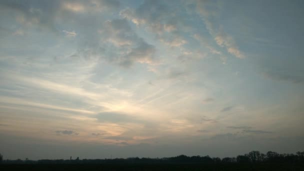 Время покажет. Закат с красными облаками на фоне поля и деревьями 4K аэросъемка на закате . — стоковое видео