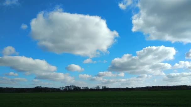 Krásné Mraky Pohybují Obloze Sluneční Paprsky Procházejí Stromy Pole Timelapse — Stock video