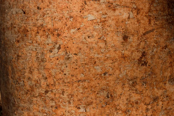 Metal plaka arkaplan olarak pas dokusu.