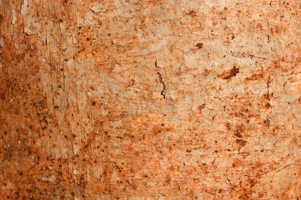 Metal plaka arkaplan olarak pas dokusu.