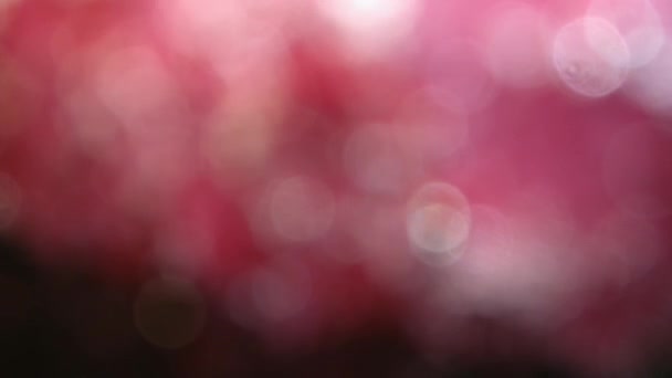 Les lumières Bookeh clignotent rapidement sur un fond sombre. Magnifique bokeh qui monte. Images du stock Ultra HD, UHD, 4K 