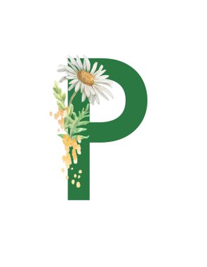 suluboya resmi tasarım düzeni için