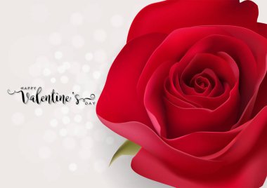 Sevgililer günü tebrik kartı şablonlarını ile gerçekçi güzel gül ve kalp üzerinde arka plan rengi.