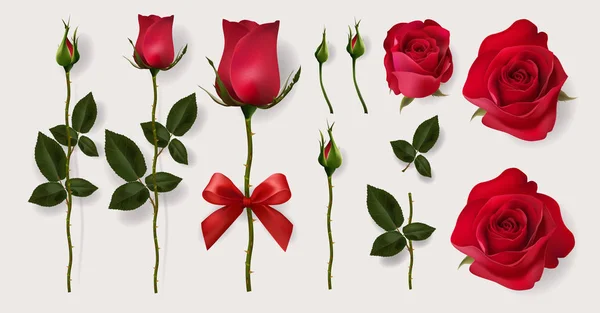 Modèles Cartes Voeux Saint Valentin Avec Réaliste Belle Rose Coeur — Image vectorielle