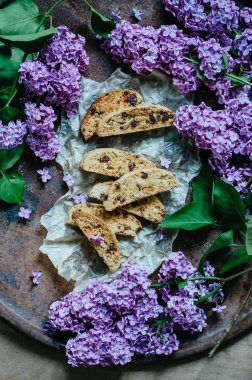 Bisküvi veya cantucci leylak, geleneksel İtalyan bisküvi veya tanımlama bilgisi dalları ile kagit üzerinde kuru üzüm ile