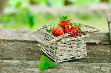 Taze kırmızı çilek. Kazıklı kadar yüksek ve ahşap bir masa üzerinde küçük bir dokuma sepet doldurma
