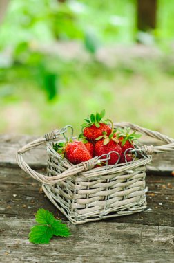 Taze kırmızı çilek. Kazıklı kadar yüksek ve ahşap bir masa üzerinde küçük bir dokuma sepet doldurma