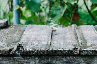 Eski ahşap masa, arka plan fotoğraf doku