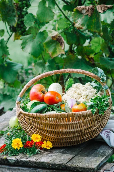 Warzywa Świeża Bio Warzywa Koszyku Tle Natury — Zdjęcie stockowe