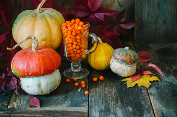 Citrouilles Automne Avec Feuilles Sur Planche Bois — Photo