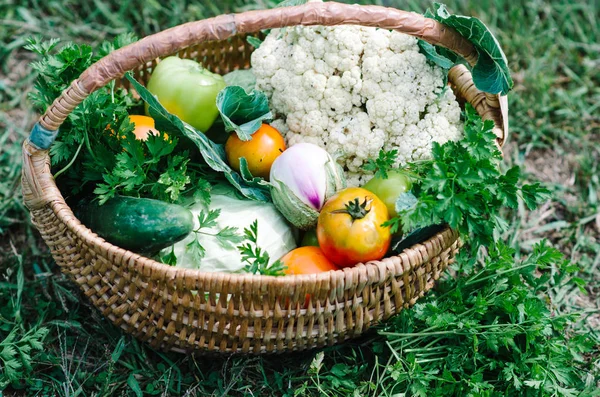 Vegetables Fresh Bio Vegetable Basket Nature Background — Stock Photo, Image