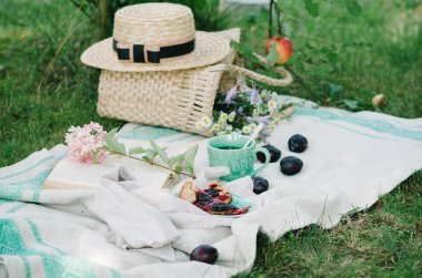 Piknik sepet çim üzerinde gıda ile. Piknik kavramı.