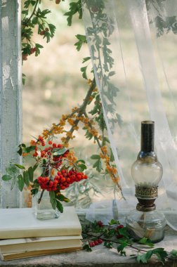 Rowan, kitap ve Gaz lambalı eski cam vazo