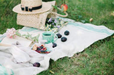 Piknik sepet çim üzerinde gıda ile. Piknik kavramı.