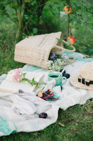 Cesta Vime Piquenique Com Comida Grama Conceito Piquenique — Fotografia de Stock