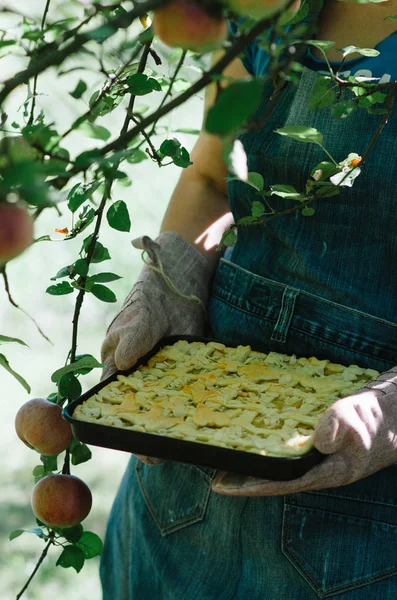 Apple pie baking sheet. Woman is holding a cake in the garden