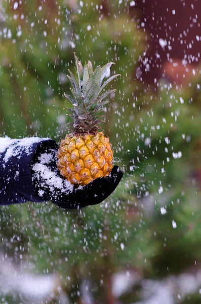 Female hand holding a pineapple on winter background.
