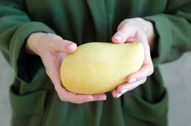 Tayland popüler meyve, olgun altın, kadının elinde mango.
